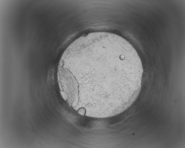 X0000080730115200701121921