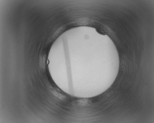 X0000080730118200701121921