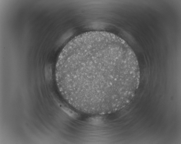 X0000080730120200701121921