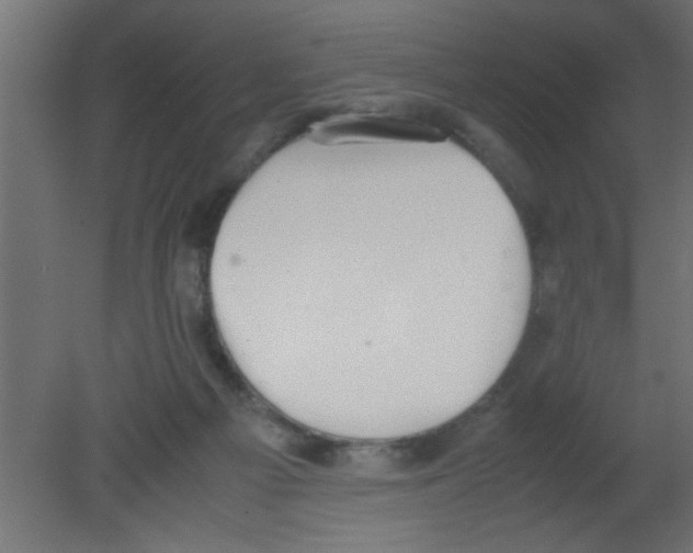 X0000080730121200701121921