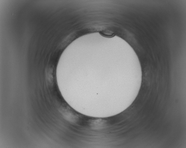 X0000080730122200701121921