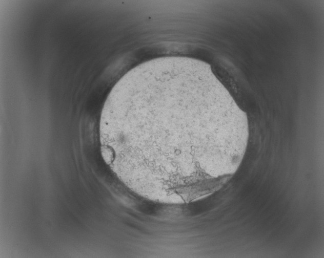 X0000080730123200701121920