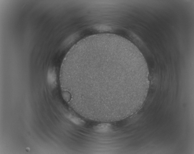 X0000080730124200701121920