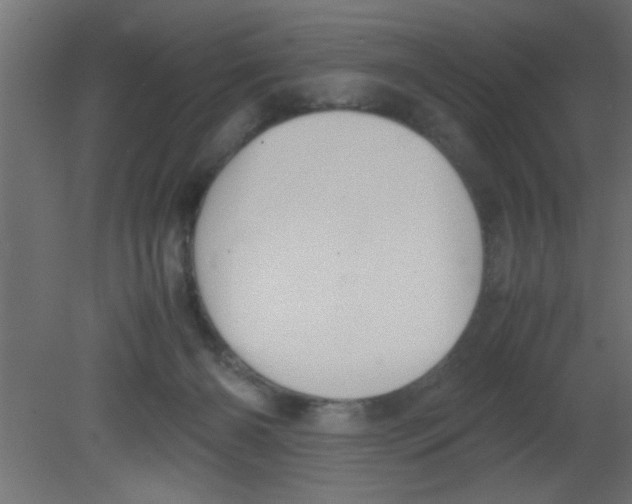 X0000080730126200701121920