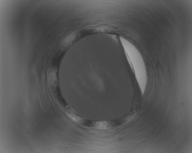 X0000080730127200701121920