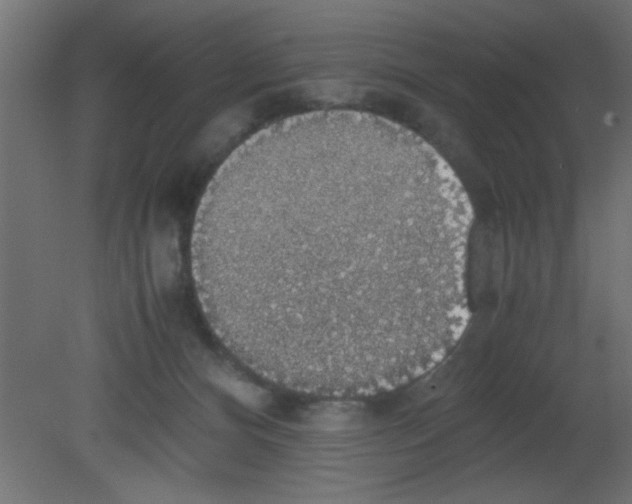 X0000080730128200701121920