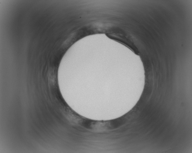 X0000080730129200701121920