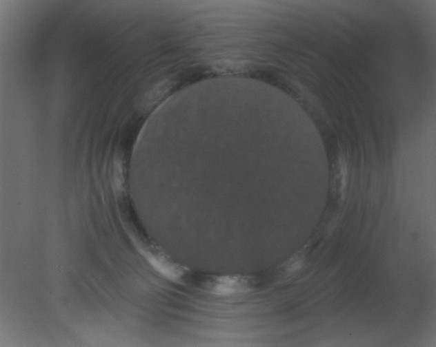 X0000080730130200701121920