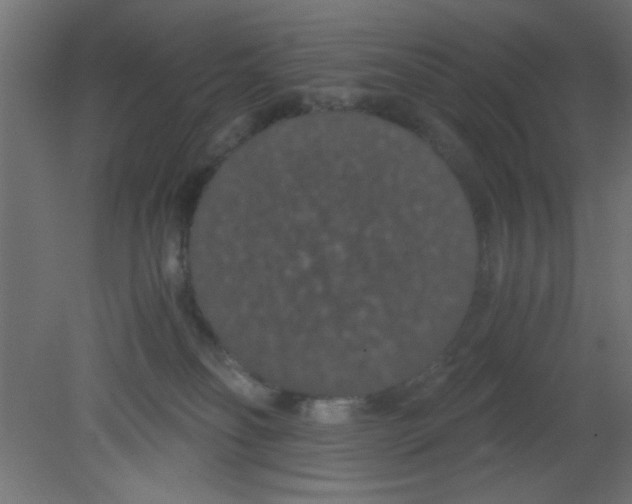 X0000080730134200701121920