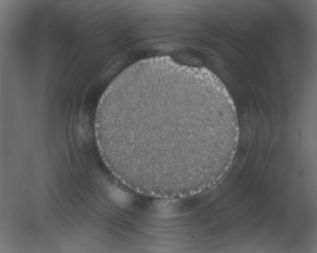 X0000080730136200701121920