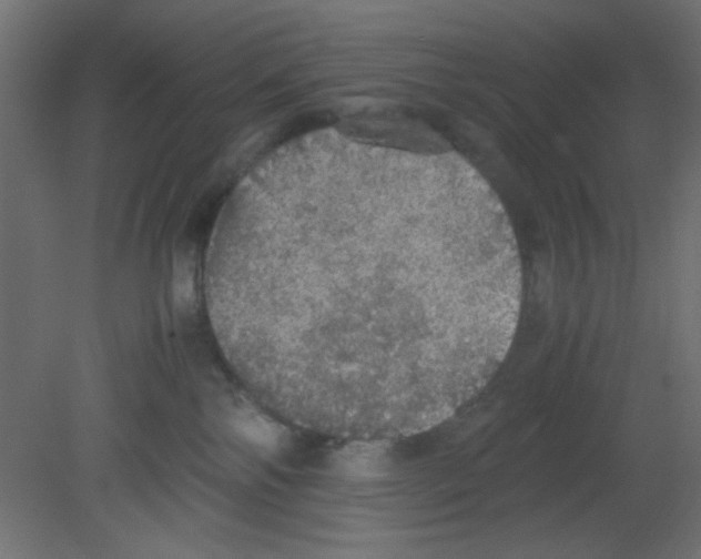 X0000080730138200701121920