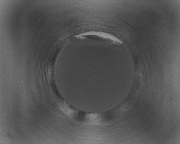 X0000080730139200701121920