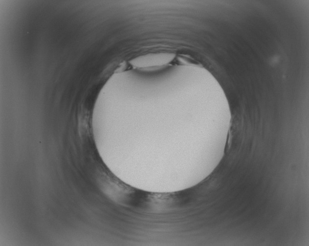 X0000080730141200701121920