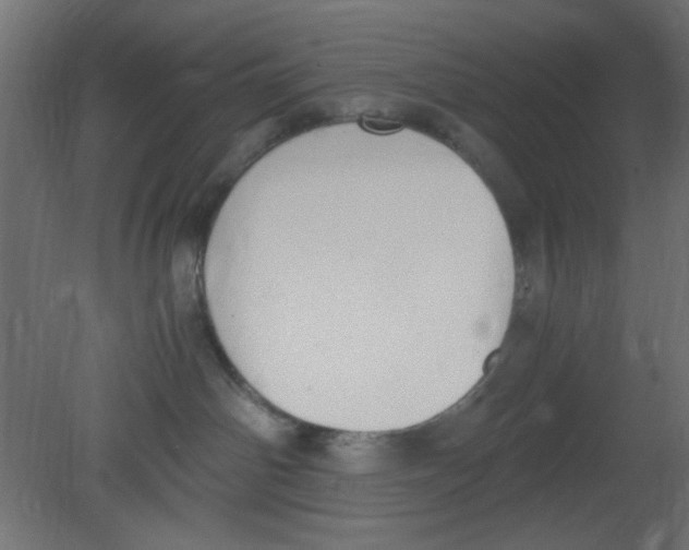 X0000080730142200701121920