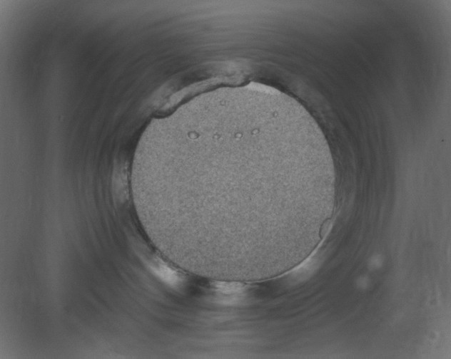 X0000080730144200701121920