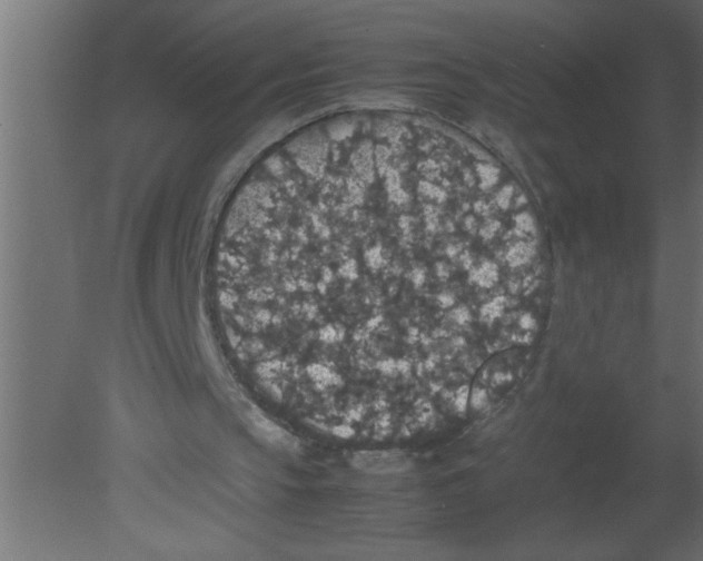 X0000080730145200701121919