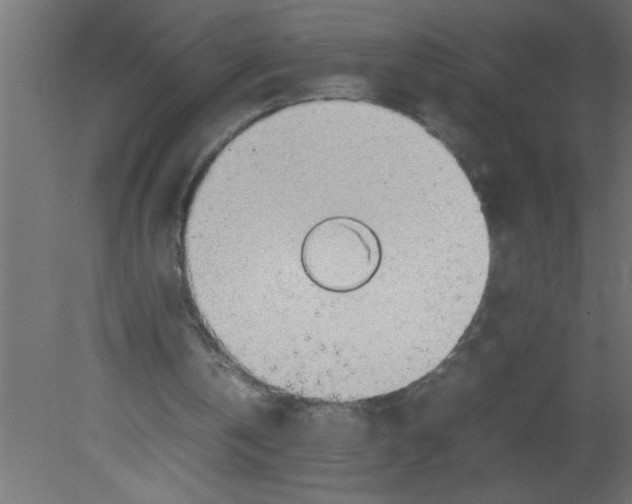 X0000080730146200701121919