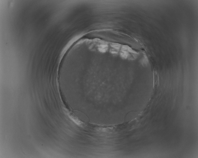 X0000080730147200701121919