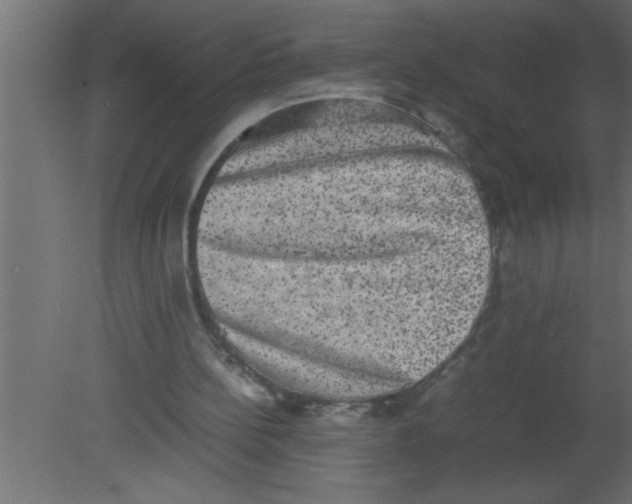 X0000080730148200701121919