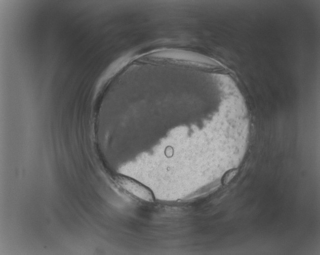 X0000080730149200701121919