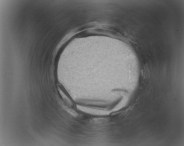 X0000080730150200701121919