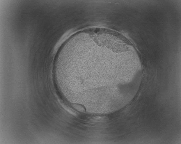 X0000080730151200701121919