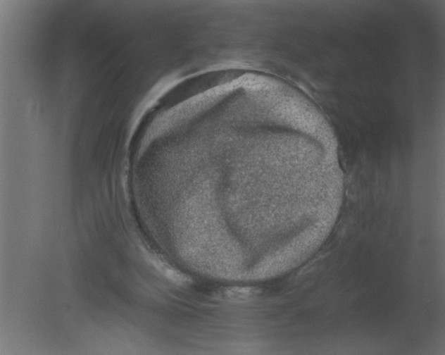 X0000080730152200701121919