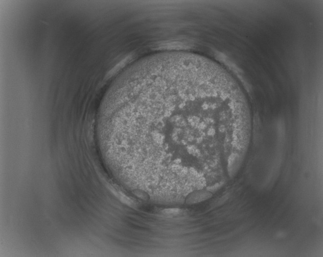 X0000080730153200701121919