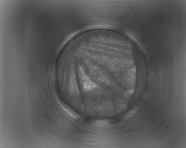 X0000080730156200701121919