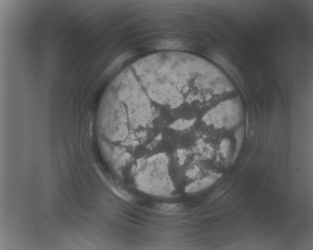 X0000080730157200701121919