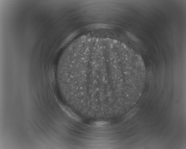 X0000080730158200701121919