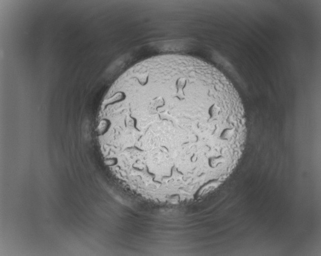 X0000080730161200701121920