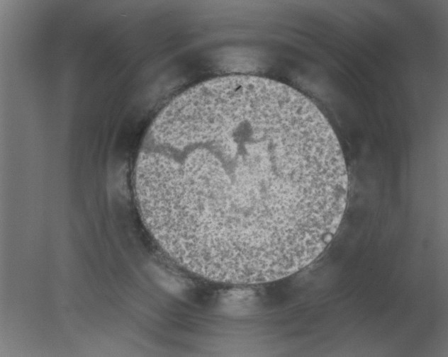 X0000080730162200701121920