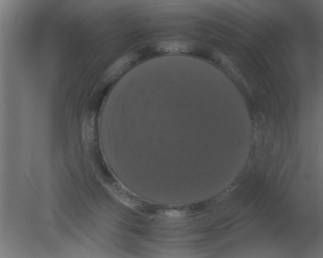 X0000080730163200701121920