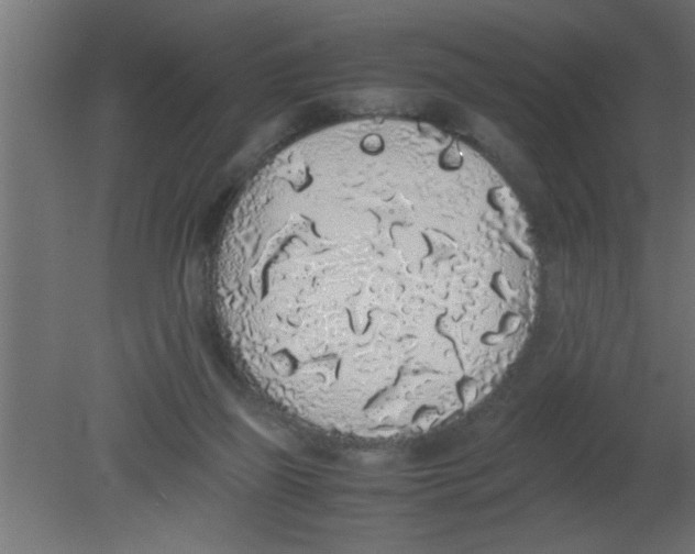 X0000080730165200701121920