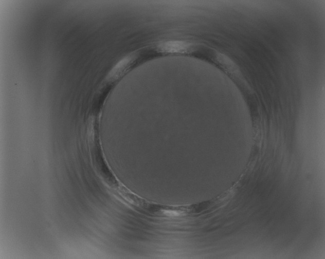 X0000080730167200701121920