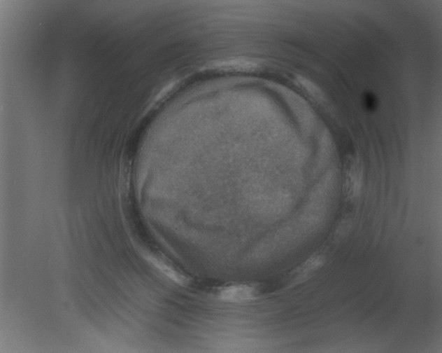 X0000080730168200701121920