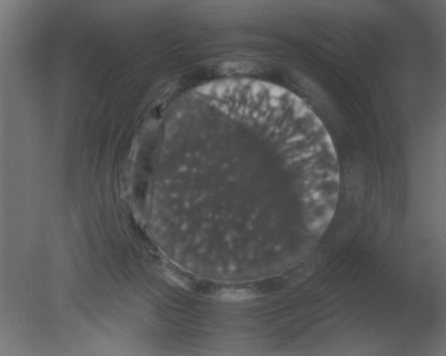 X0000080730169200701121920