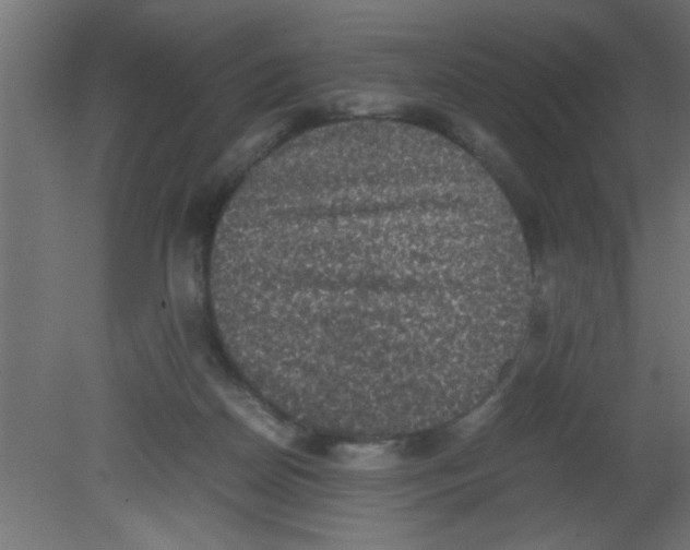 X0000080730170200701121920