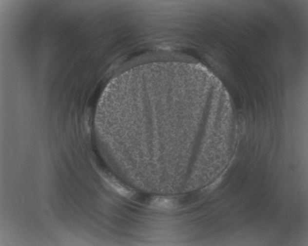 X0000080730174200701121920