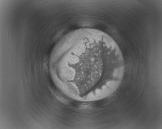 X0000080730175200701121920