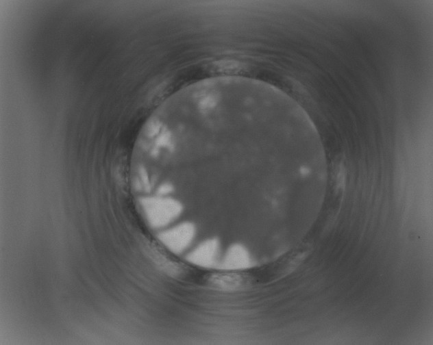 X0000080730181200701121920