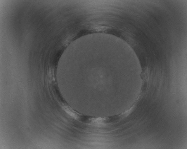 X0000080730182200701121920