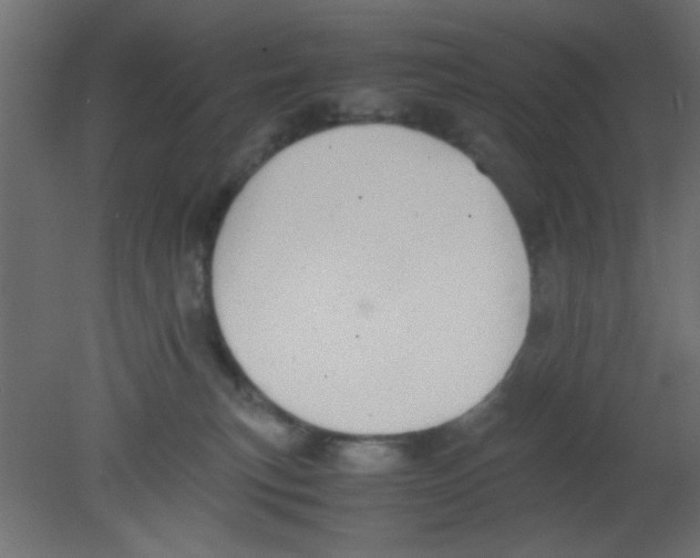 X0000080730183200701121920