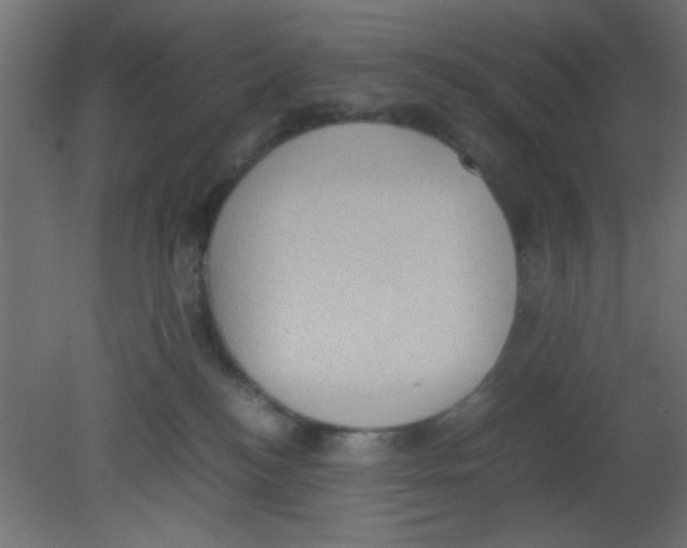 X0000080730184200701121920