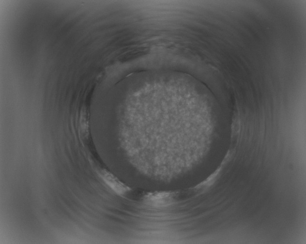 X0000080730186200701121920