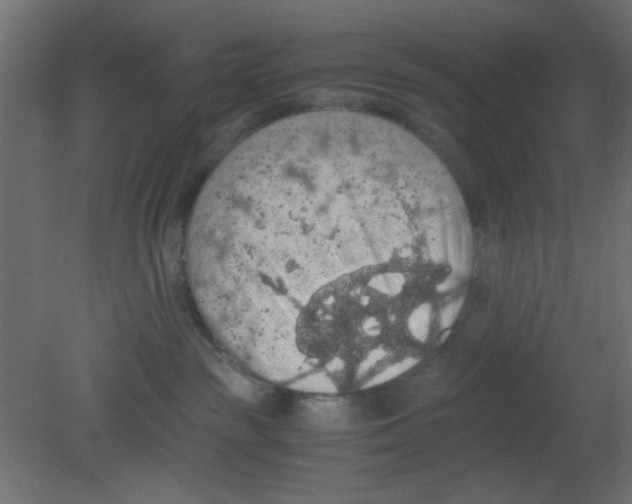 X0000080730189200701121920