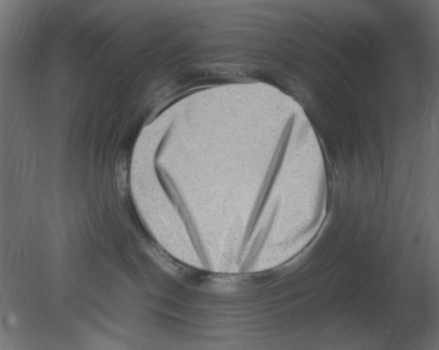 X0000080730190200701121920