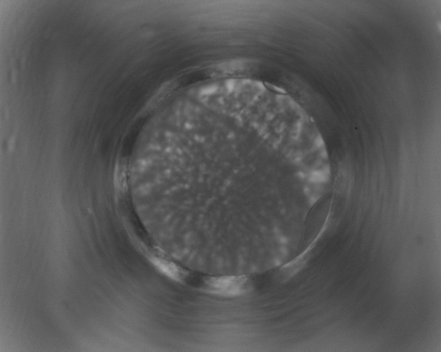 X0000080730191200701121920