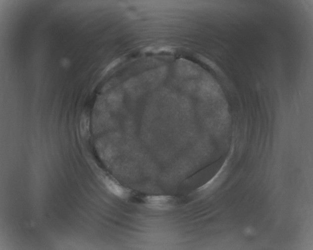 X0000080730192200701121920